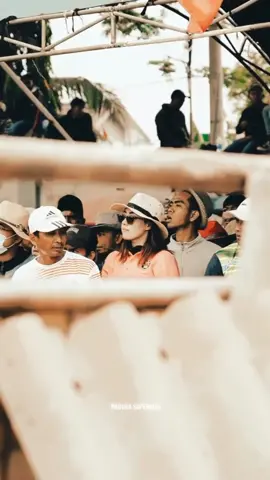 Tradisi Kerapan Sapi Khas Madura #fyp #fypv #fypl #fyph #fypシ #fypss #fypage #fypmadura #viralmadura #fyphariini #fypviraltiktok🖤シ゚☆♡viral #vypシ✌️❤️ #kerapansapimadura 