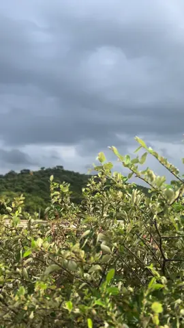 #haseenmosam #cloudyday #weathervibes #blusky #fyp #shafaqkay 