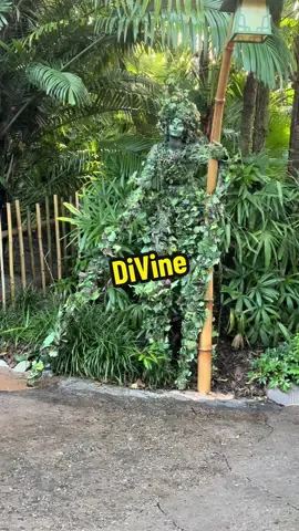 DiVine is a unique and captivating street performer character at Disney's Animal Kingdom in Walt Disney World. She is known for her incredible camouflage and plant-like appearance. DiVine blends into the lush surroundings of the park's foliage and appears as if she's a part of the natural environment. She moves slowly and gracefully, mesmerizing guests as she gracefully weaves her way through the trees and vines. Seeing DiVine is like encountering a living work of art in the heart of the park, adding a touch of magic to the Animal Kingdom experience #disney   #divine #animalkingdom  #camo #disneyadult #disneylife #disneymom #fy #fyp  #stilts  #disneyworld #wow 