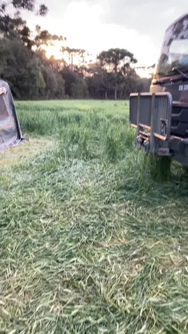 Bad boys #exercitobrasileiro🇧🇷 #brasil #badboys #m113 #fypシ 