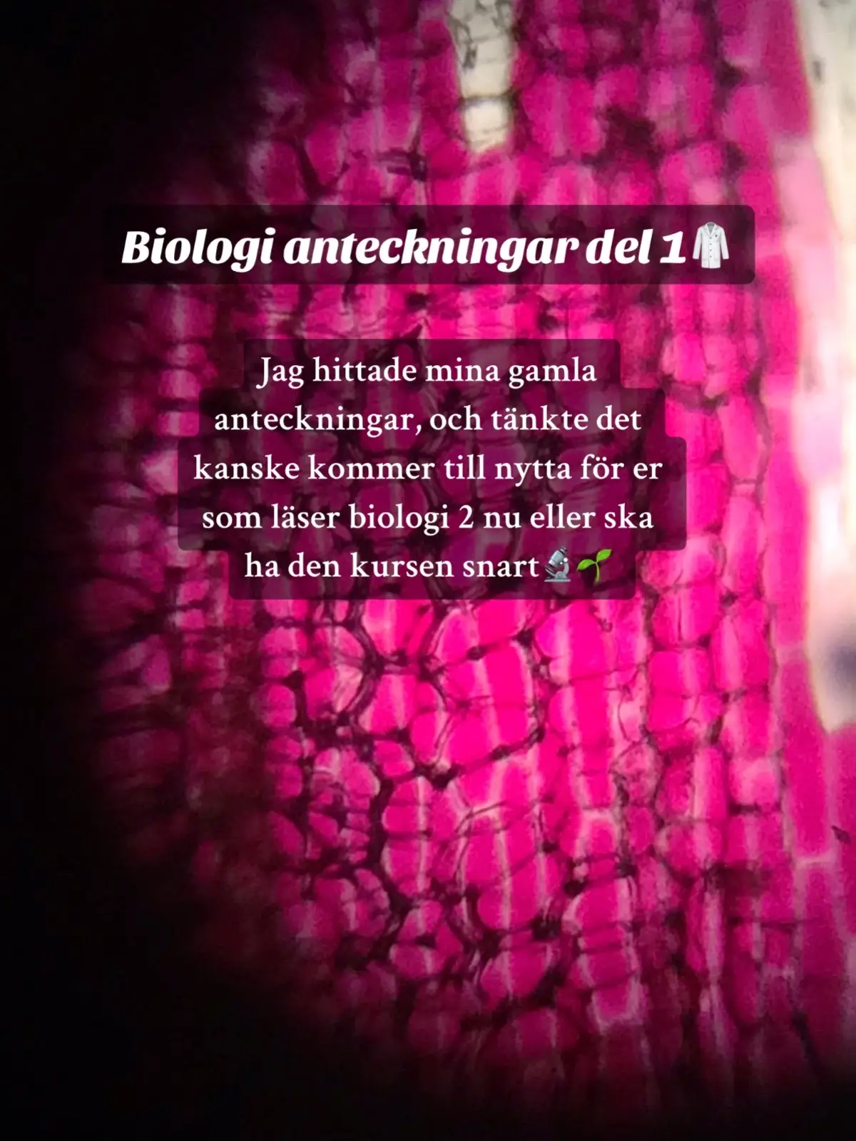 Gilla för del 2 🫀#fyp #lillcrispy #xyzbca #mamacrispy #biology #naturare #anteckningar #🥼 #bcaxyz #gymnasietips #schoollife #biologi #naturarecheck 