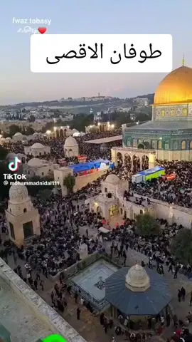 #طوفان #الاقصى #ارعد #الارض #اقصف 