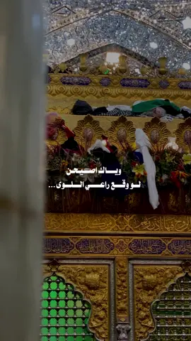 يا دواء كُل آلامي أُمنيتي ان لا أعود حيًا من حرمك💔 . . . . #باسم_الكربلائي #لاتسافر 