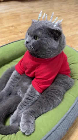 💇‍♂️💇‍♂️💇‍♂️