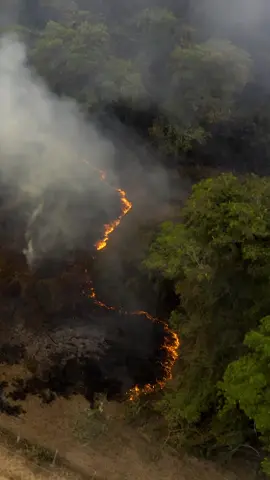 Video que produzi relatando o problema das queimadas no Amazonas