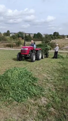 Сто п'ятдесят мільйонна спроба закинути відео нормально 😅 Продовження нашого плідного дня з сілосом 🇺🇦 Все буде Україна❤️🇺🇦 #україна #життя #шифенг #агроном #сілос #волинь #праця #весілля #релакс #продаж #осінь #мир 