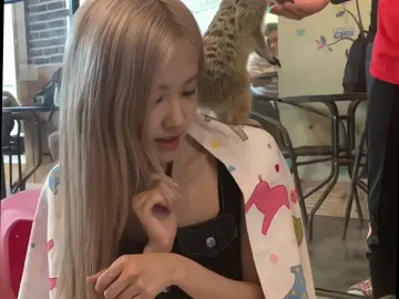 ♡ #rosé #fyp #jskmsq 