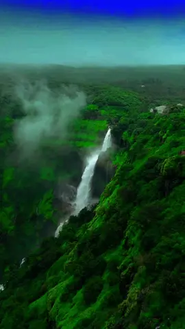 nature love #onemillionaudition #lovenature #fy #tamilstatussongs #onemillion #fyp #tamilmuser #fyptamil #naturelover #srilankan_tik_tok #srilankatravel 