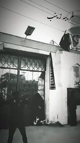 غريبه زينب ..!!💔🫤#السيده_زينب #الشام #شور 