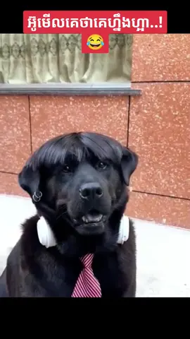 @ゴせイ🎦 Very cool #funnyvideos #fouryou #tiktok #fpy 