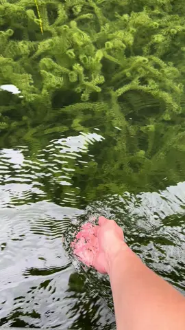 Ninh Bình đẹp ko tỳ vết. #ninhbinh #TrangAn #xuhuongtiktok #trending #vietnamcuatoi 