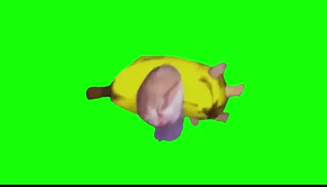 寝るバナナ猫 素材