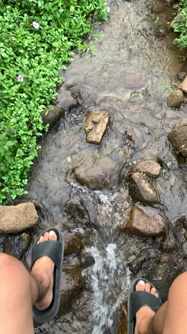 Pisan pisan endak2 lor omah #seloresi #girimanik #setren #slogohimo #lashtboy #wonogiri 