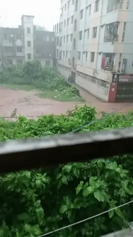 আহা বৃষ্টি...🥰🥰