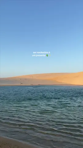 Dia do Nordestino, 8 de Outubro 🌵✨  — “Se um milhão de vidas eu tivesse Pra escolher onde nascer Eu voltaria a ser nordestino E ainda torno a dizer Que o nordeste é o que eu tenho Onde muito pude aprender E como diz um bom poeta Quanto mais sou nordestino Mais me orgulho de ser”.  Sempre & todos os dias, minha gente. Nossa terra é viva. É nossa.  Quanto orgulho de chamar Ceará de lar. Fortaleza de morada.  Não tem lugar igual no mundo 🤍  #diadonordestino #cearabrasil #fortalcity 