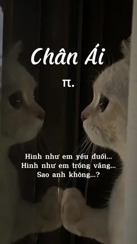 Yêu em là 