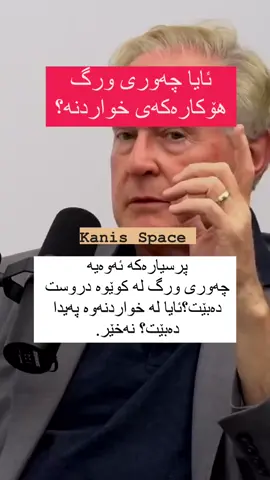 ##ninasalon1987 #kalusalli #ninasalon #slimani #bazyan #cupcut 