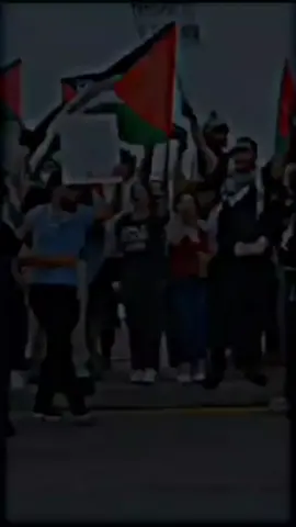 #احرار #فلسطين #فلسطين🇵🇸 #فلسطيني 