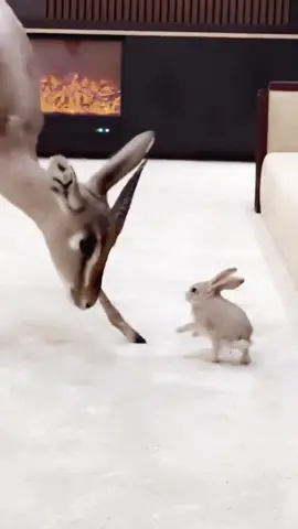 ‏حبيبي والسنين اللي عوضها وجهك المزيون 🤍