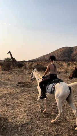 ONE YEAR AGO🇳🇦 the happiest time of my life 🥹  #namib #namibia #horsesafari #horse #equestrian 