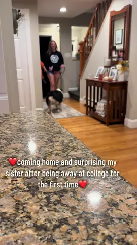 #siblinglove #imissyou #Love #firsttimecollegestudent #surprisemysister 