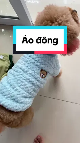 Sắm áo đông chưa mí bạn ơiii #embemon #xh #review #chiase #dog 