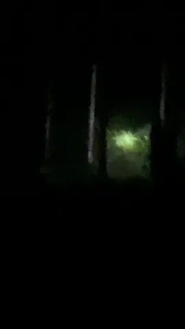 night hunting #berburu #wildboarhunting🐗🐗 #pighunting #hunting #hobi #sniper #babi #burubabi #burubabihutan #burubabisumbar #burubabibasosoh 
