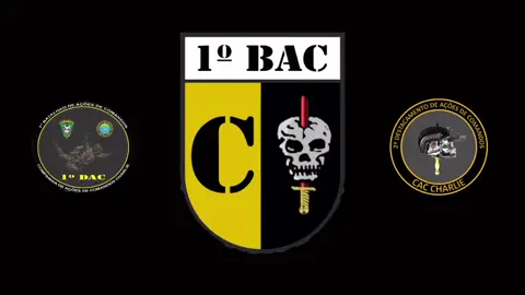 💀AÇÕES DE COMANDOS NA SELVA💀 Adestramento em ambiente de Selva, realizado pela Companhia de Ações de Comandos Charlie do 1° BAC. #comandos #facanacaveira #operacoesespeciais #guerranaselva #selvaamazonica #adestramentomilitar #sgtdiascomandos #caveiradeaco #motivaçãodiária 