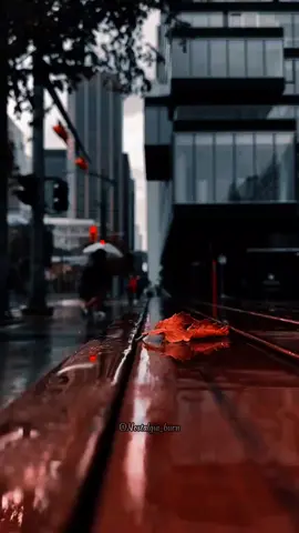 #fypシ #status #lirycs_music #tipografia #musicaparastatus #musicaelegenda 