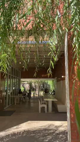 vibrant coffee | htx did not do this place justice !! the patio is even more impressing than their interior. had healthy & YUMMY food and drinks. try it outtt #fyp #htx #coffee #study #studytok #houston 