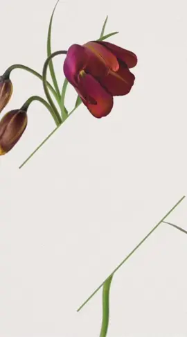 تصميم ليوم المديرة العالمي بدون اسم #يوم_المديرة_العالمي #يوم_المدير_العالمي #يوم_المدير #يوم_المديره_العالمي #يوم_المديرة #يوم_المديره #اكسبلورexplore #explor #اكسبلور 