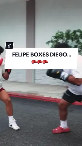 He had the weight advantage #boxing #bradleymartyn #zooculture #sparring 