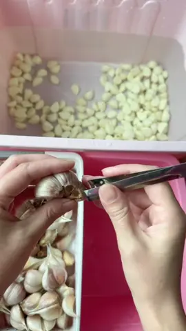 Garlic peeling! #satisfying #decompression #garlic #peeling #LifeHack #tool 
