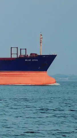FORT MONROE, VA; MOONLIGHT 🌙 #containership #container #sea #waves #sealife #ocean #oiltanker #cargoship #shipspotting #instaship #merchantnavy #lifeatsea #ship #shipping #coolmariners #vessel #shipspotter #instashipping #cargoship #containership #seafarer #shiplovers #shiplife 