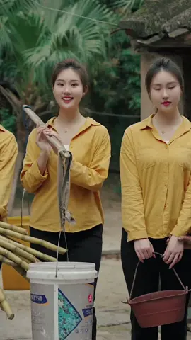 #funnyvideos #phimngan #funny #xuhuongtiktok #videotrungquoc #girlxinhtiktok #tiktokusa #xuhuong #foryou 