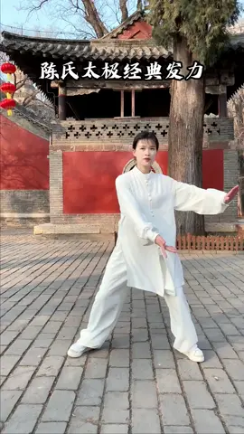 陈氏太极的爆发力！#太极 #弘扬中华武术 #强身健体正能量 #陈式太极拳 #功夫