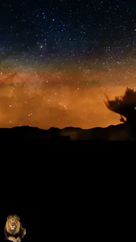 Beautiful night nature.#Ночь#ночь#Звёзды#звёзды#Космос#космос#звёздноенебо#Звёздноенебо#звёздноенебо✨🌟#Space #природакрасота 