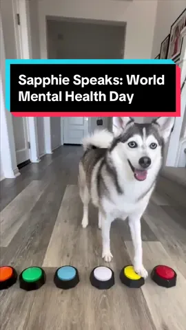 Sapphie Speaks: World Mental Health Day ❤️🐶 #mentalhealthmatters #sapphiespeaks #bekind #dogs #smartdog 