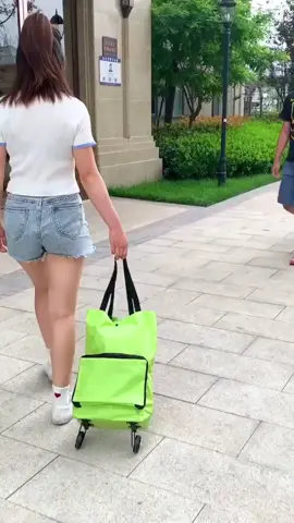 Women Environmental Foldable Storage Multifunction Shopping Bag Cart Tug Trolley Case Wheels Reusable #foldable #storage #shoppingbag #Environmental #环保购物袋 #环保袋 #折叠收纳袋 #好物分享 #Tiktokshop #Tiktok 
