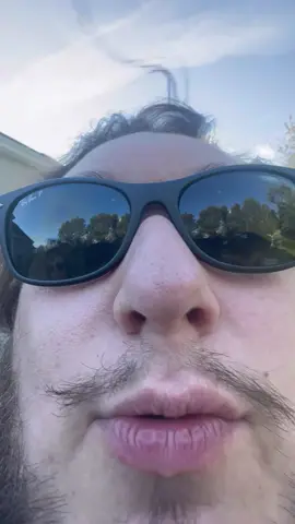 Bird… watching??  Music: Gaming Room Musician: EnjoyMusic Site: https://enjoymusic.ai