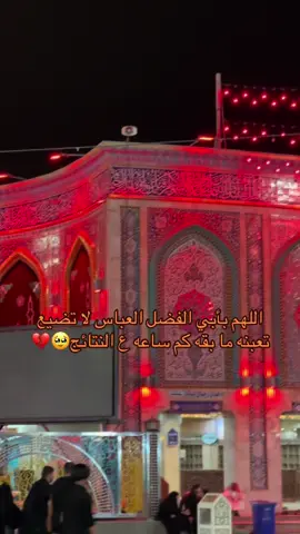 هلهوله للعباس #العتبه_الحسينيه_المقدسه #العتبه_العباسيه_المقدسه #كربلاء_مدينة_العشق_والعاشقين😍 #السادس_الاعدادي #سادسيون💔ɵ #سادسيون_دفعه_2023 