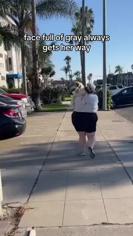 note to me & my bestie don’t take your 10 year old dogs on a 90 minute walk 🤪