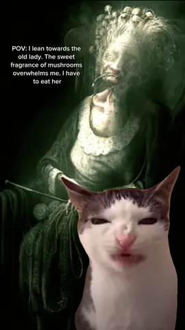 Eat the old lady #gametok #darkwood#mushroomgranny#darkfairytale#fyp#niche#Meme #MemeCut 