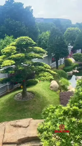 Sân vườn biệt thự đẹp #canhquandep #sanvuon #bietthu #caycanh #hoca #koi #quyhoach #canhquan #nghiduong #trangtrinhacua #garden #koipond #landscape #maison #villa #resort #luxury #longervideos #fyp #ductrilandscape 
