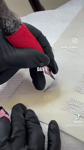 POWDER BROW TRAINING 🤩#pmu #pmuartist #pmubrows #pmutraining #pmutraining 