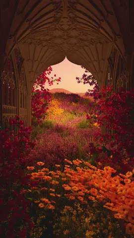 Exploring a daydream irl #oddlysatisfying #liminal #liminalspace #fyp #foryou #tiktokpartner 