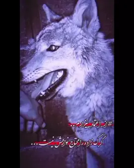 ##مسافر #اکسپلور #کندزی_هلک #🖤🖤🖤 #foryou #زندگی_پر_از_خسته_گی #🖤🖤🖤 