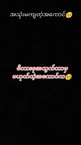 အသုံးမကျတဲ့အကောင်ပါ🥺#တွေးပီးမှတင်ပါ💜💜💜 #ဆယ်လီမှအသဲပေးတာလား😔😑 #ဖီးမယ်နော် #တိုက်ဆိုင်မှုရှိရင်တော့လွမ်းတာပေါ့ဗျာ 