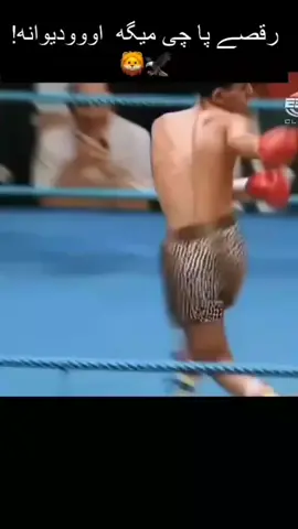 #4 #fypシ #foryoupage #تیک_تاک_فارسی #بکسر #princesnasem 