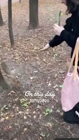 #onthisday Squirrel and Girl amazing seen #video #animal #wild #grow #foryou 